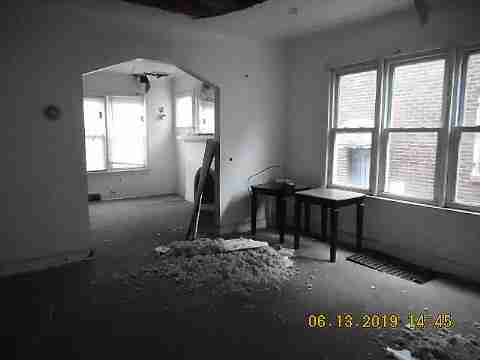 8266 Badger (19)_m.jpg